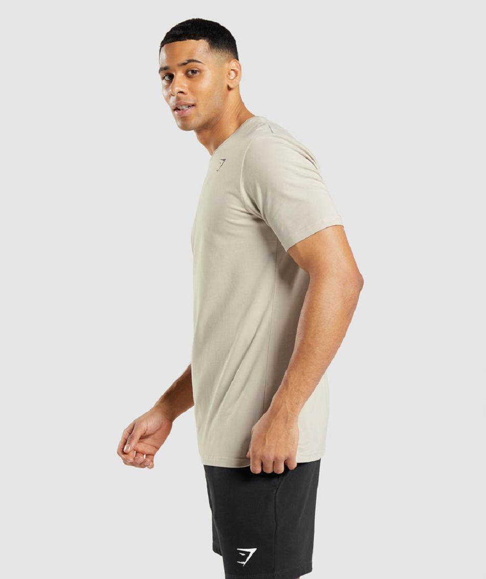 T Shirts Gymshark Essential Hombre Gris | CO 3292VRW